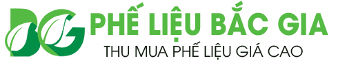 Mẫu web phế liệu của Thuatpartner